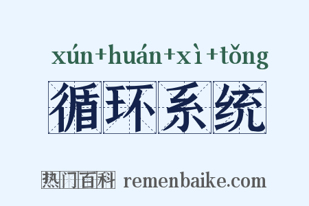 循环系统是什么意思的图片
